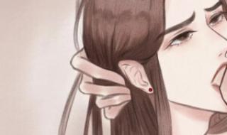 二哈和他的白猫师尊1 二哈和他的白猫师尊1