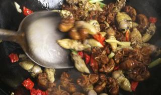 知了猴价格 知了猴价格