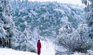 重庆仙女山旅游攻略 重庆仙女山旅游攻略