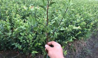 广东江西广东湖南江西 广东江西广东湖南江西