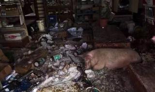 人喝了核废水会变异吗 人喝了核废水会变异吗