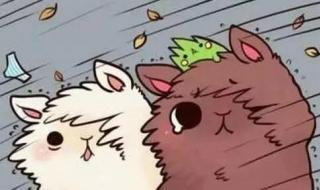 台风消息最新预报