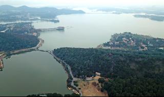 武汉森林公园 武汉森林公园