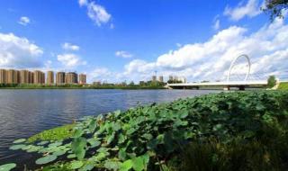 国际马拉松跑的赛程 国际马拉松跑的赛程