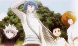 全职猎人蚂蚁篇结局 全职猎人蚂蚁篇结局