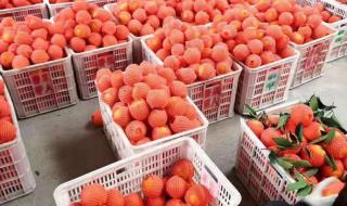 如何处理滞销宝贝 如何处理滞销宝贝