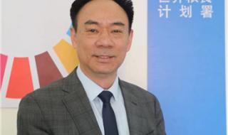 中国人均粮食占有量 中国人均粮食占有量