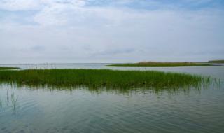 上海周边自驾一日游 上海周边自驾一日游