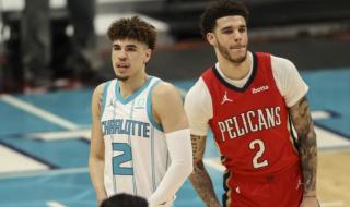 黄蜂和鹈鹕什么关系